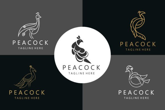 Download Peacock Logo with Line Art Concept - Line art Collection
