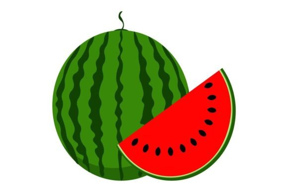 Download Watermelon Vector Illustration - Premium Resources