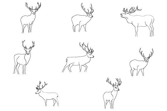 Download Deer Line Art Abstract Boho - Line art Collection