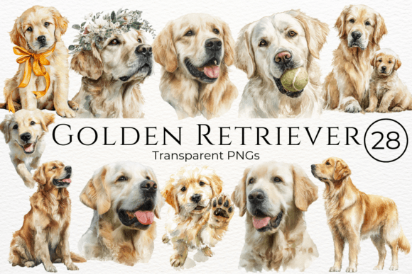 Download Golden Retriever Dog Watercolor Clipart - Old Collection